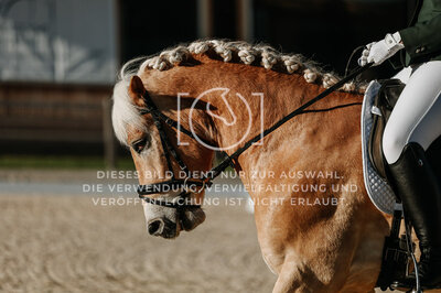 © Niki Buchegger, turnier-fotos.at