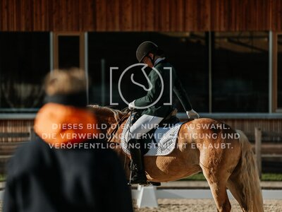 © Niki Buchegger, turnier-fotos.at