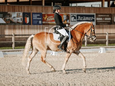 © Niki Buchegger, turnier-fotos.at