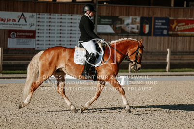 © Niki Buchegger, turnier-fotos.at