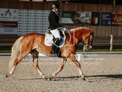 © Niki Buchegger, turnier-fotos.at