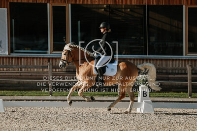 © Niki Buchegger, turnier-fotos.at