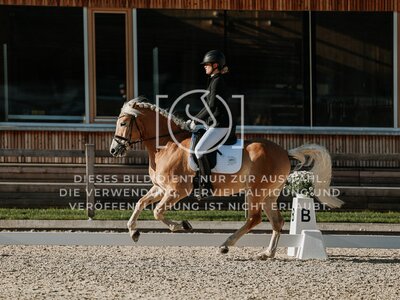 © Niki Buchegger, turnier-fotos.at