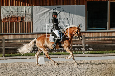 © Niki Buchegger, turnier-fotos.at