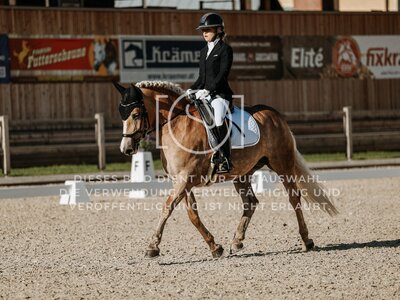 © Niki Buchegger, turnier-fotos.at