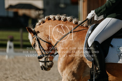 © Niki Buchegger, turnier-fotos.at