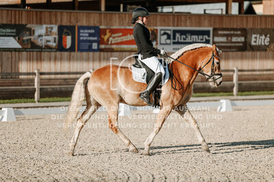 © Niki Buchegger, turnier-fotos.at
