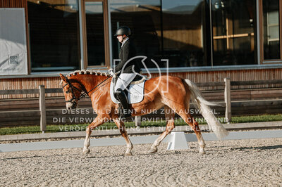 © Niki Buchegger, turnier-fotos.at