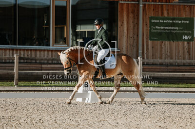 © Niki Buchegger, turnier-fotos.at