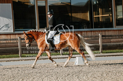 © Niki Buchegger, turnier-fotos.at