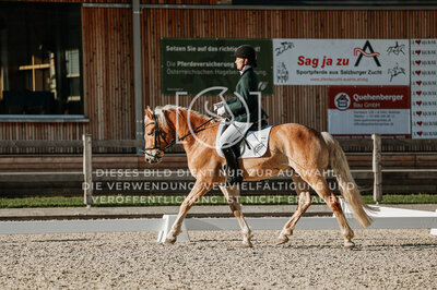 © Niki Buchegger, turnier-fotos.at
