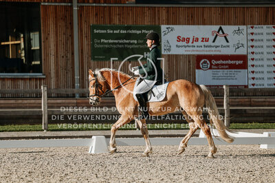© Niki Buchegger, turnier-fotos.at
