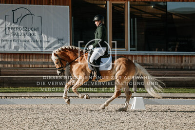 © Niki Buchegger, turnier-fotos.at