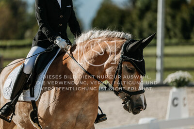 © Niki Buchegger, turnier-fotos.at