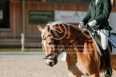 © Niki Buchegger, turnier-fotos.at