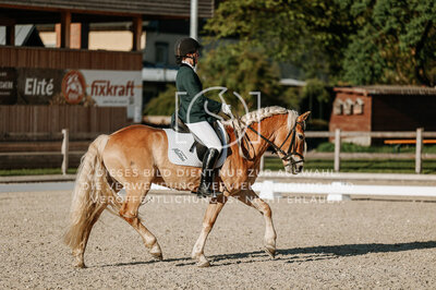 © Niki Buchegger, turnier-fotos.at