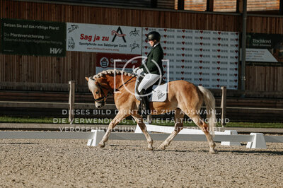 © Niki Buchegger, turnier-fotos.at