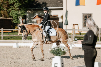 © Niki Buchegger, turnier-fotos.at