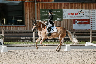 © Niki Buchegger, turnier-fotos.at