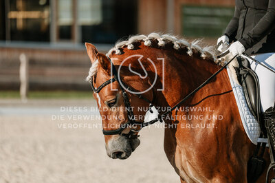 © Niki Buchegger, turnier-fotos.at
