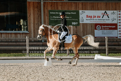 © Niki Buchegger, turnier-fotos.at
