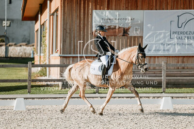 © Niki Buchegger, turnier-fotos.at