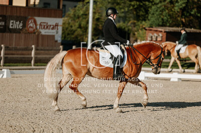 © Niki Buchegger, turnier-fotos.at