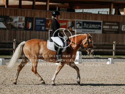 © Niki Buchegger, turnier-fotos.at