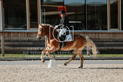 © Niki Buchegger, turnier-fotos.at