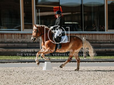 © Niki Buchegger, turnier-fotos.at