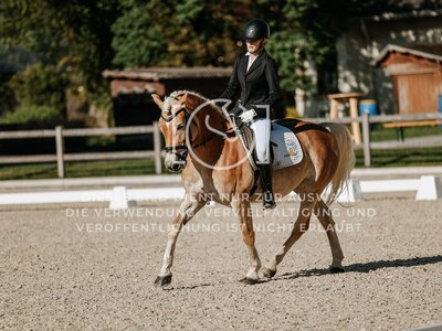 © Niki Buchegger, turnier-fotos.at