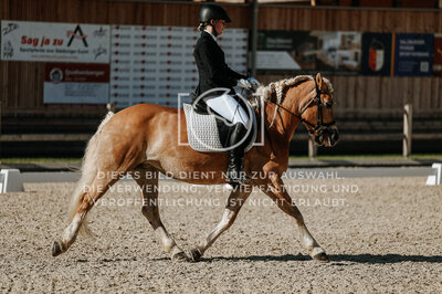 © Niki Buchegger, turnier-fotos.at