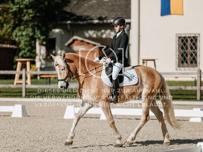 © Niki Buchegger, turnier-fotos.at