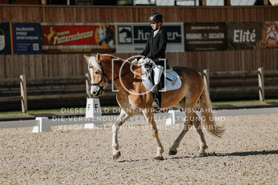 © Niki Buchegger, turnier-fotos.at