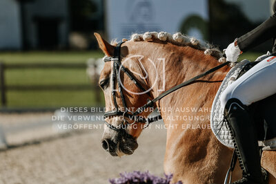 © Niki Buchegger, turnier-fotos.at