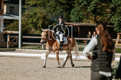 © Niki Buchegger, turnier-fotos.at