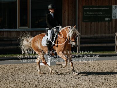 © Niki Buchegger, turnier-fotos.at
