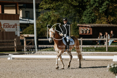 © Niki Buchegger, turnier-fotos.at