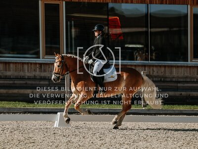 © Niki Buchegger, turnier-fotos.at