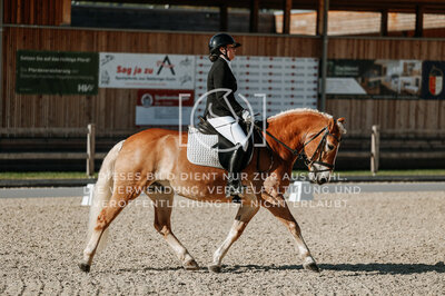 © Niki Buchegger, turnier-fotos.at
