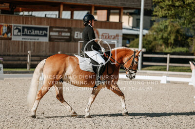 © Niki Buchegger, turnier-fotos.at