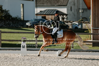 © Niki Buchegger, turnier-fotos.at