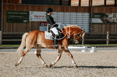 © Niki Buchegger, turnier-fotos.at