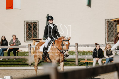 © Niki Buchegger, turnier-fotos.at