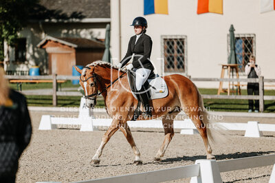 © Niki Buchegger, turnier-fotos.at