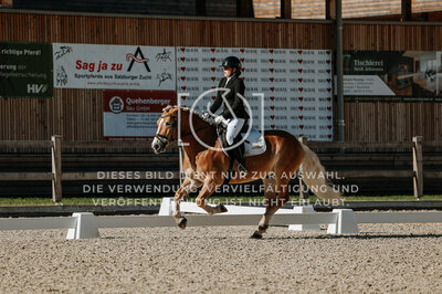 © Niki Buchegger, turnier-fotos.at
