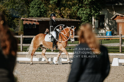 © Niki Buchegger, turnier-fotos.at