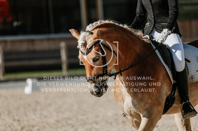 © Niki Buchegger, turnier-fotos.at