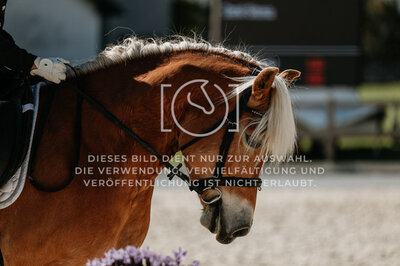 © Niki Buchegger, turnier-fotos.at