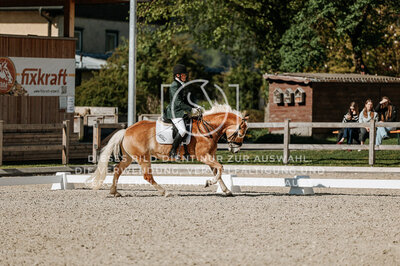 © Niki Buchegger, turnier-fotos.at